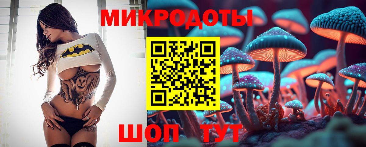 Псилоцибиновые грибы Psilocybe Щёлково