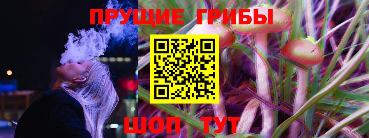 Псилоцибиновые грибы мицелий  Вход с VPN  Щёлково 